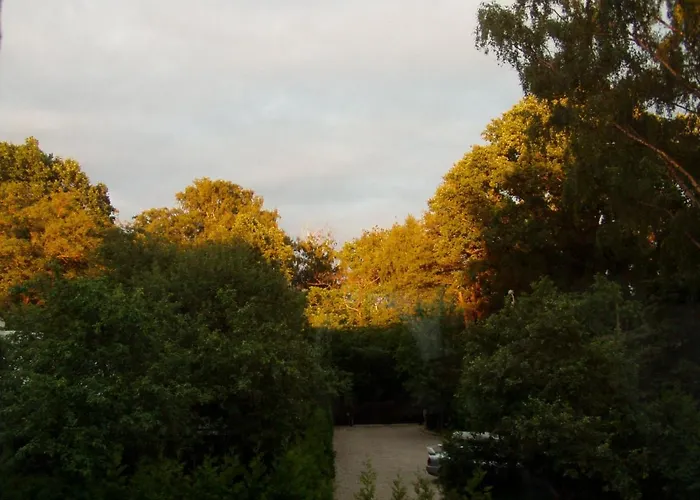 Kreisa Imperija * リガ