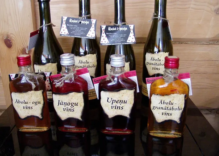 科雷萨帝国度假屋 度假居